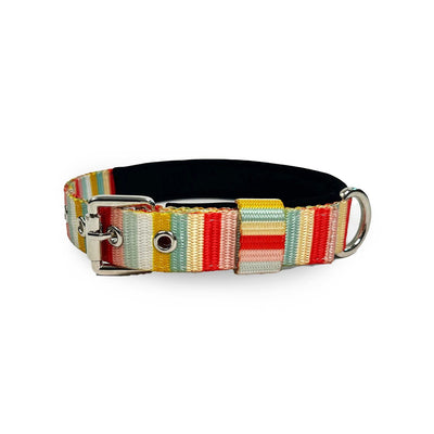 Forfurs - Poolside chilling Pin Buckle Collar with leashes For Dogs & Cats