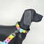 Forfurs - Candy Pop Standard Leash For Dogs & Cats