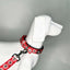 Forfurs - Instalove Pin Buckle Collar For Dogs & Cats