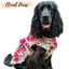 Kitty & The Woof Gang - Dress For Dogs, Cats And Puppies