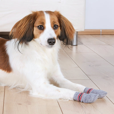 Trixie - Non-Slip Socks for Dogs (Set of 2)