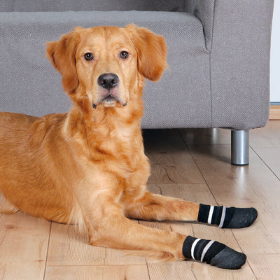 Trixie - Dog Socks Non-Slip with All-Round Rubber Coating 2 Pcs Black
