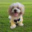 Petsnugs - Checks & Bow Yellow Summer Shirt For Dogs