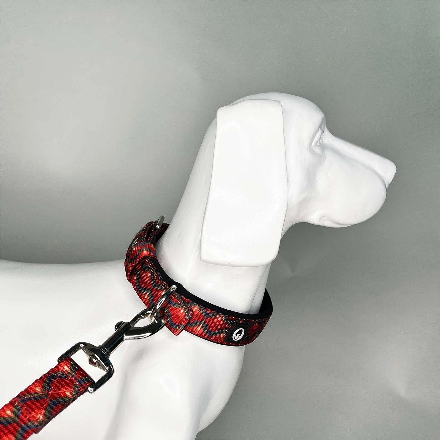 Forfurs - Enlightened Pin Buckle Collar For Dogs & Cats