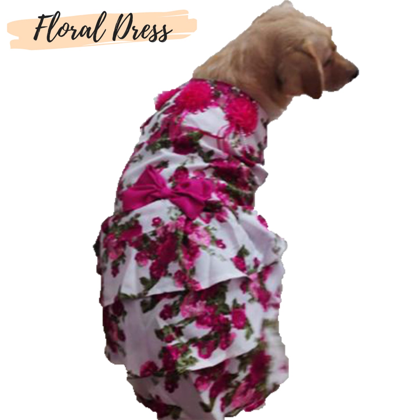 Kitty & The Woof Gang - Dress For Dogs, Cats And Puppies