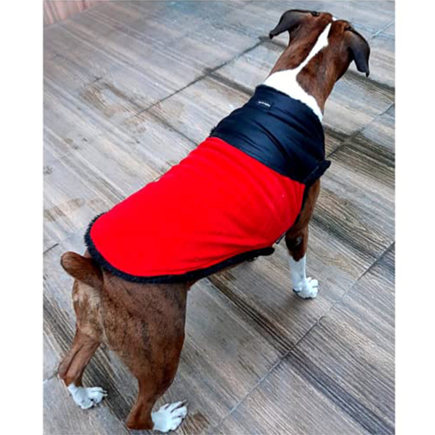 Kitty & The Woof Gang - Winter jacket for dogs cats and puppies