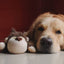 Barkbutler - Soft Squeaky Plush Dog Toy