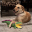 Barkbutler - Soft Squeaky Plush Dog Toy