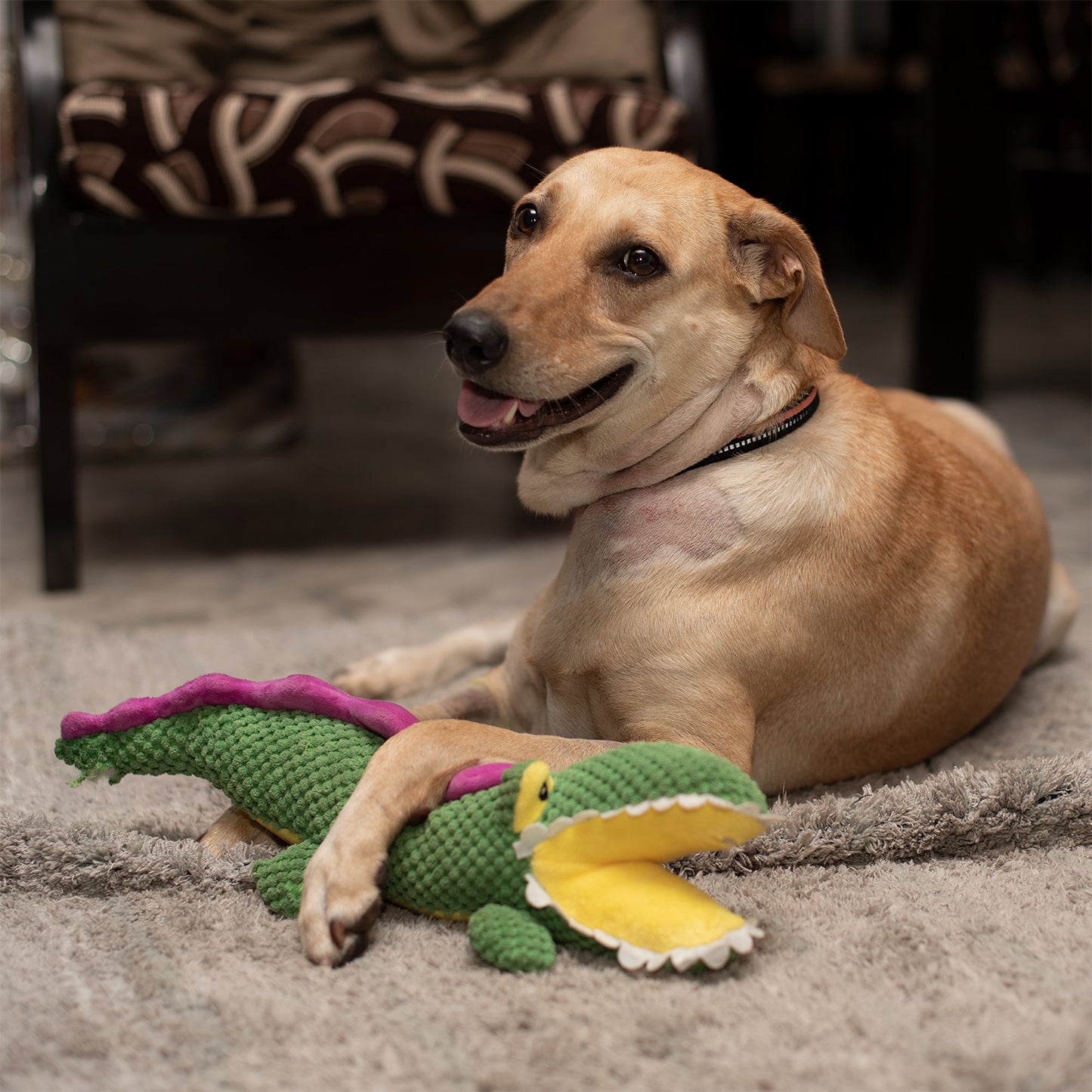Barkbutler - Soft Squeaky Plush Dog Toy