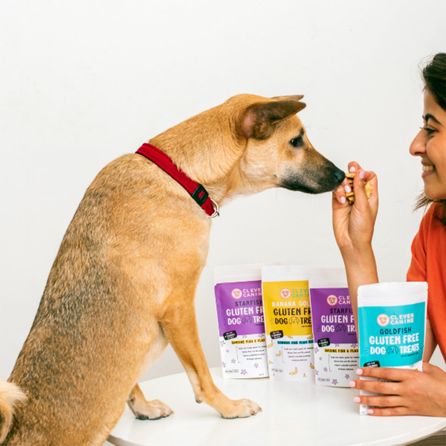 Clever Canine - Gluten Free Dogs Treats Banana Goldies