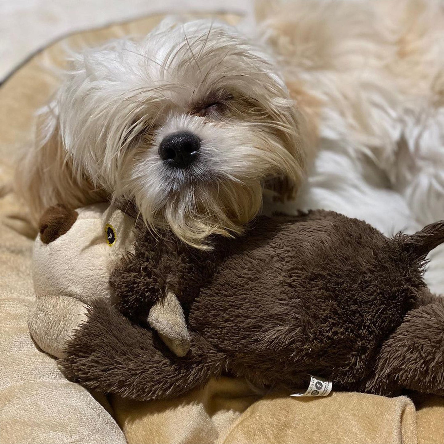 Barkbutler - Soft Squeaky Plush Dog Toy