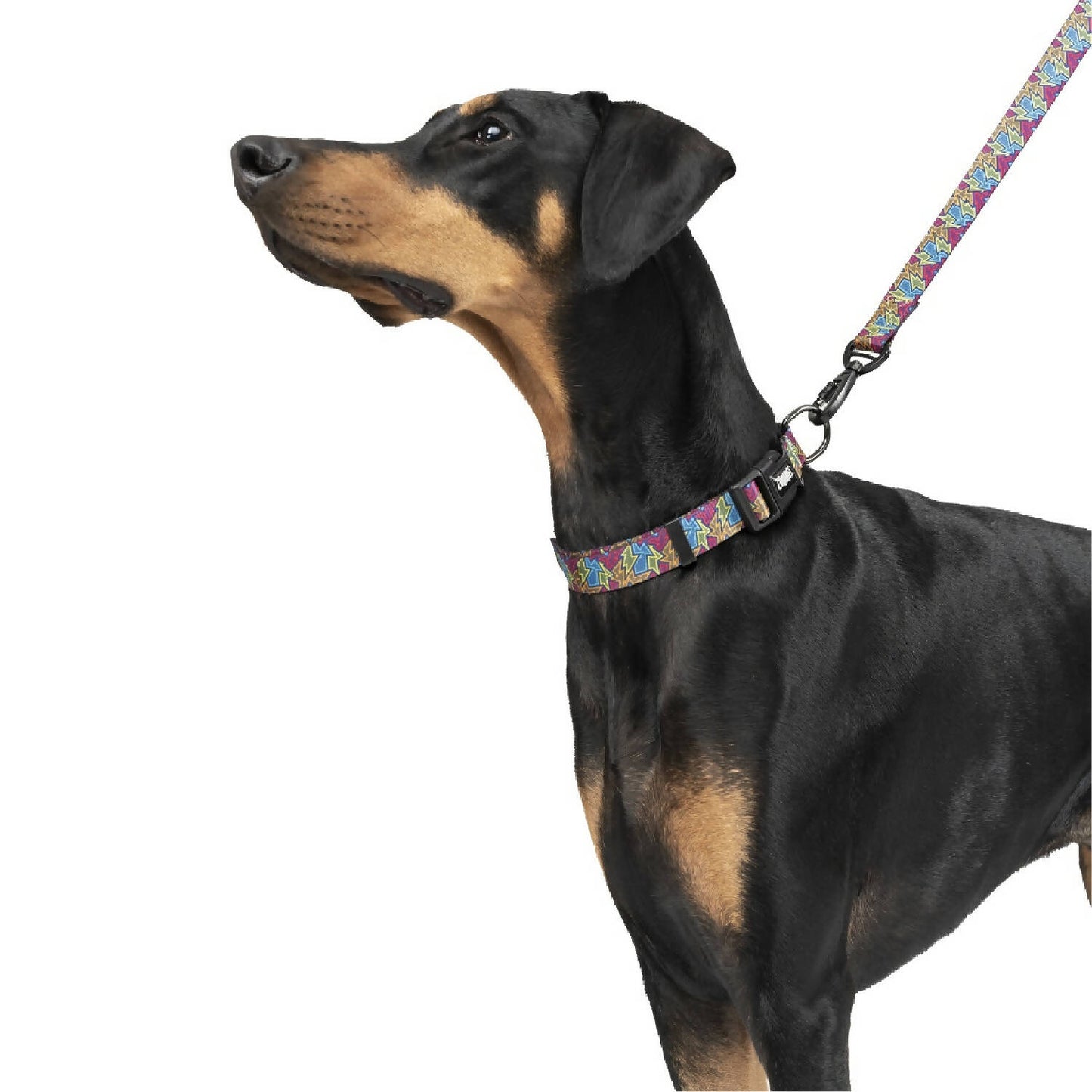 Zoomiez - Bolt Printed Dog Collar