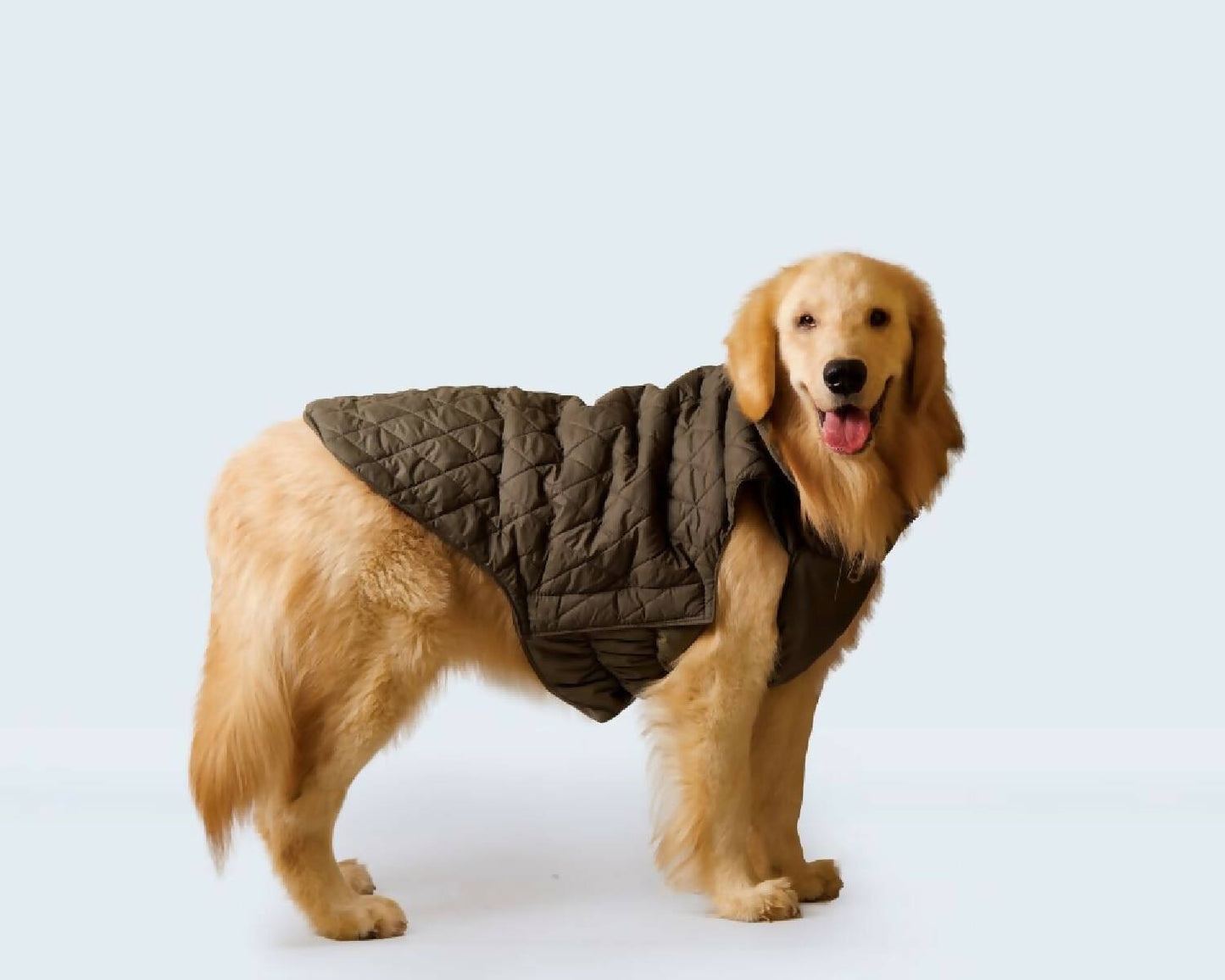 Petsugs - Olive Green Jacket for dogs and cats