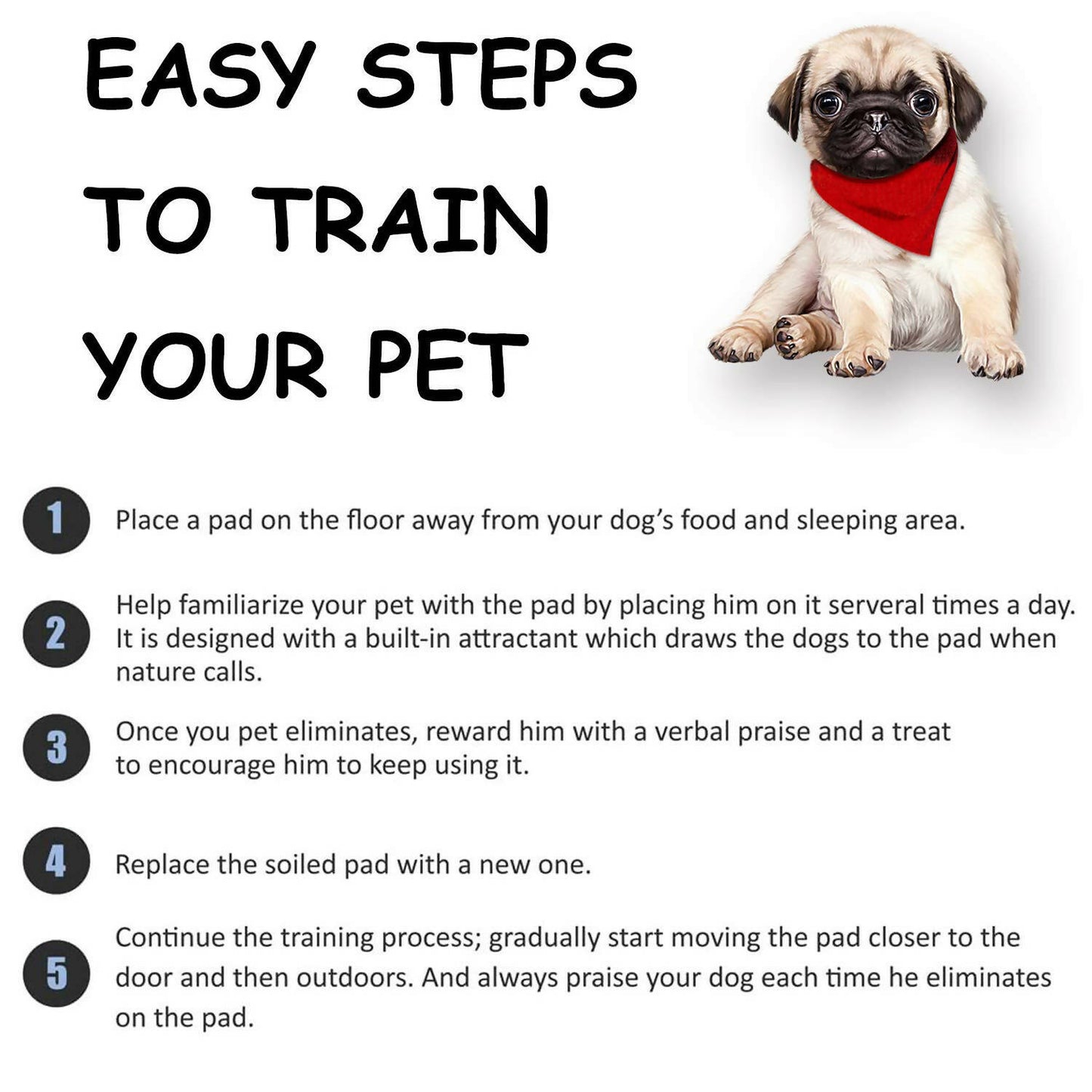 Basil - Pet Training pee pads with Activated Carbon to absorb For Dogs