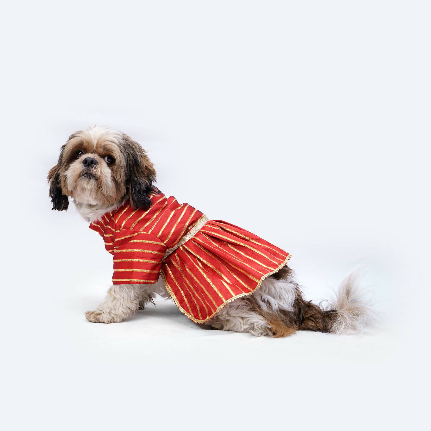 Pawgypets - Occasion wear Dress | Red Gota