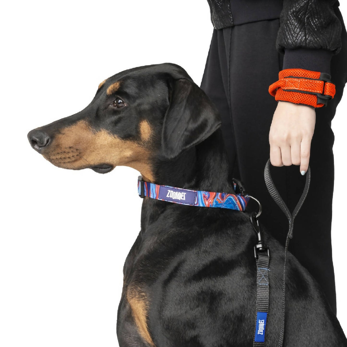 Zoomiez - Hands-Free Dog Leash/Lead