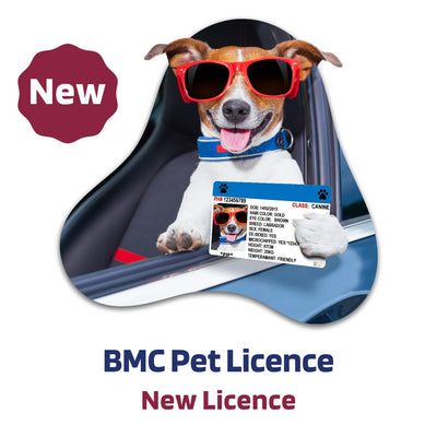 Dog License - First Time (Mumbai Only)