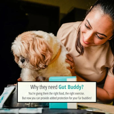 Doggie Dabbas - Gut Buddy for Dogs & Cats