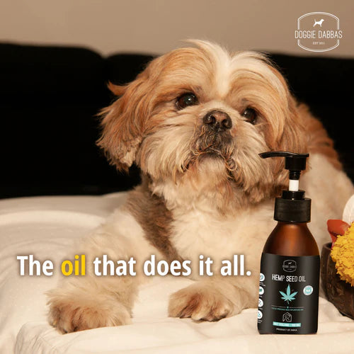 Doggie Dabbas - Hemp Oil for Dogs & Cats