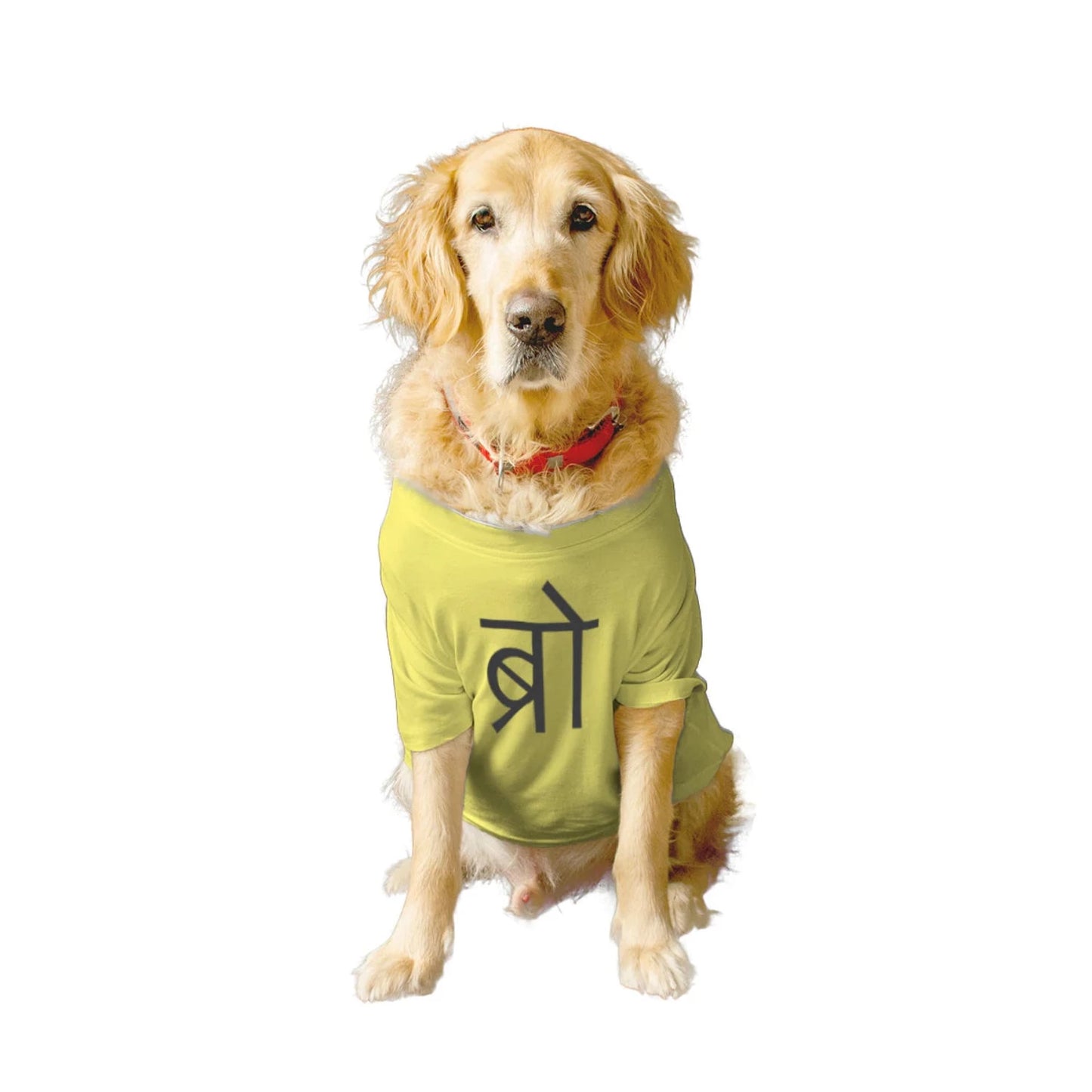 Ruse - Basic Crew Neck Desi Bro Printed Half Sleeves Dog Tee