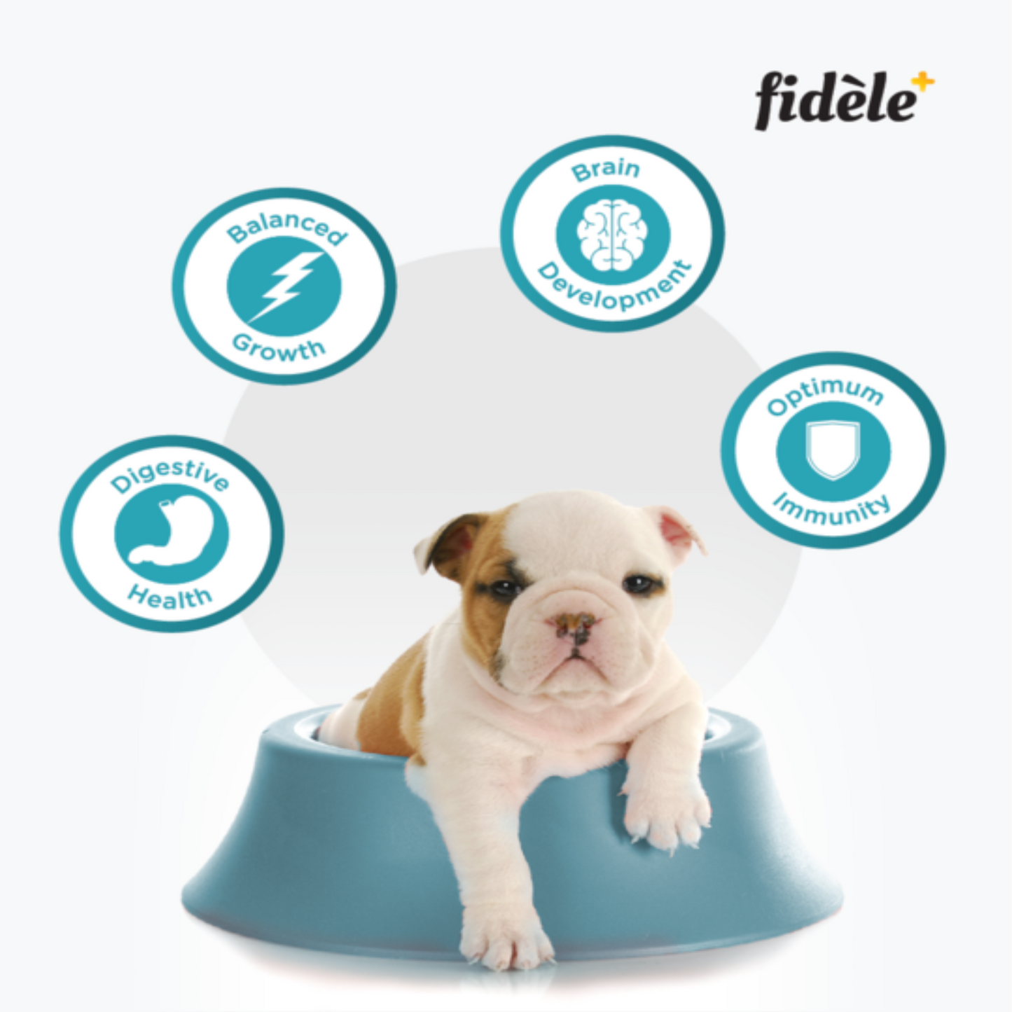 Fidele+ - Starter Puppy All Breeds Dry Food