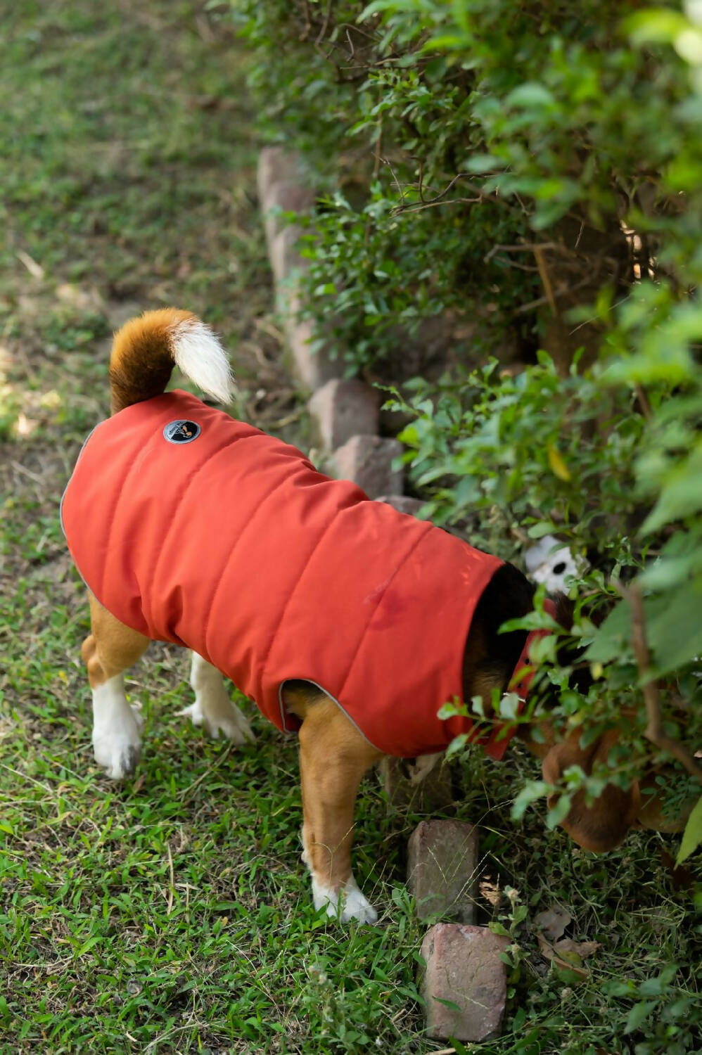 Petsnugs - Rust Jacket for Dogs and Cats
