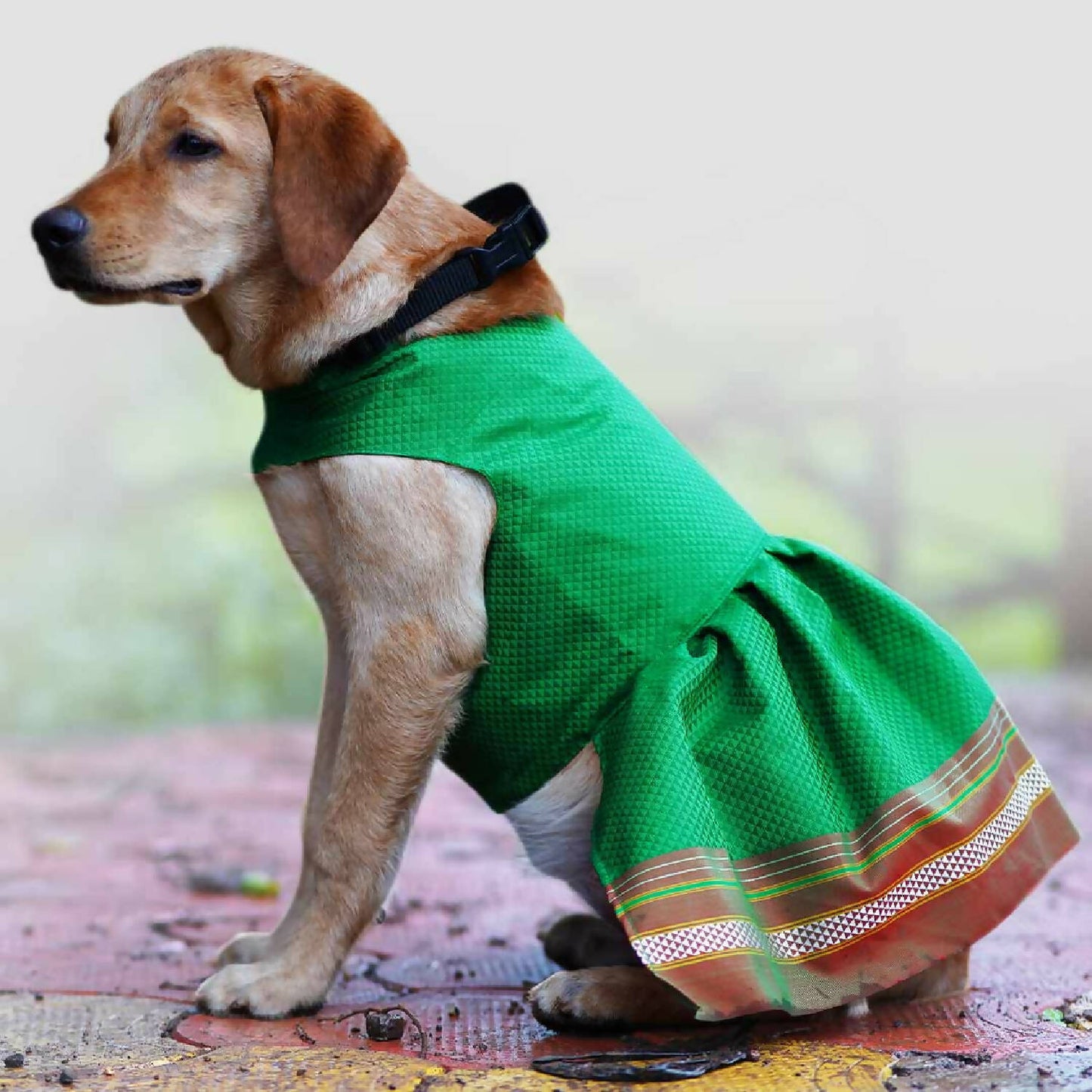 MyArtBucket- Parkar Polka Dog Festive Wear Green Dog Dress