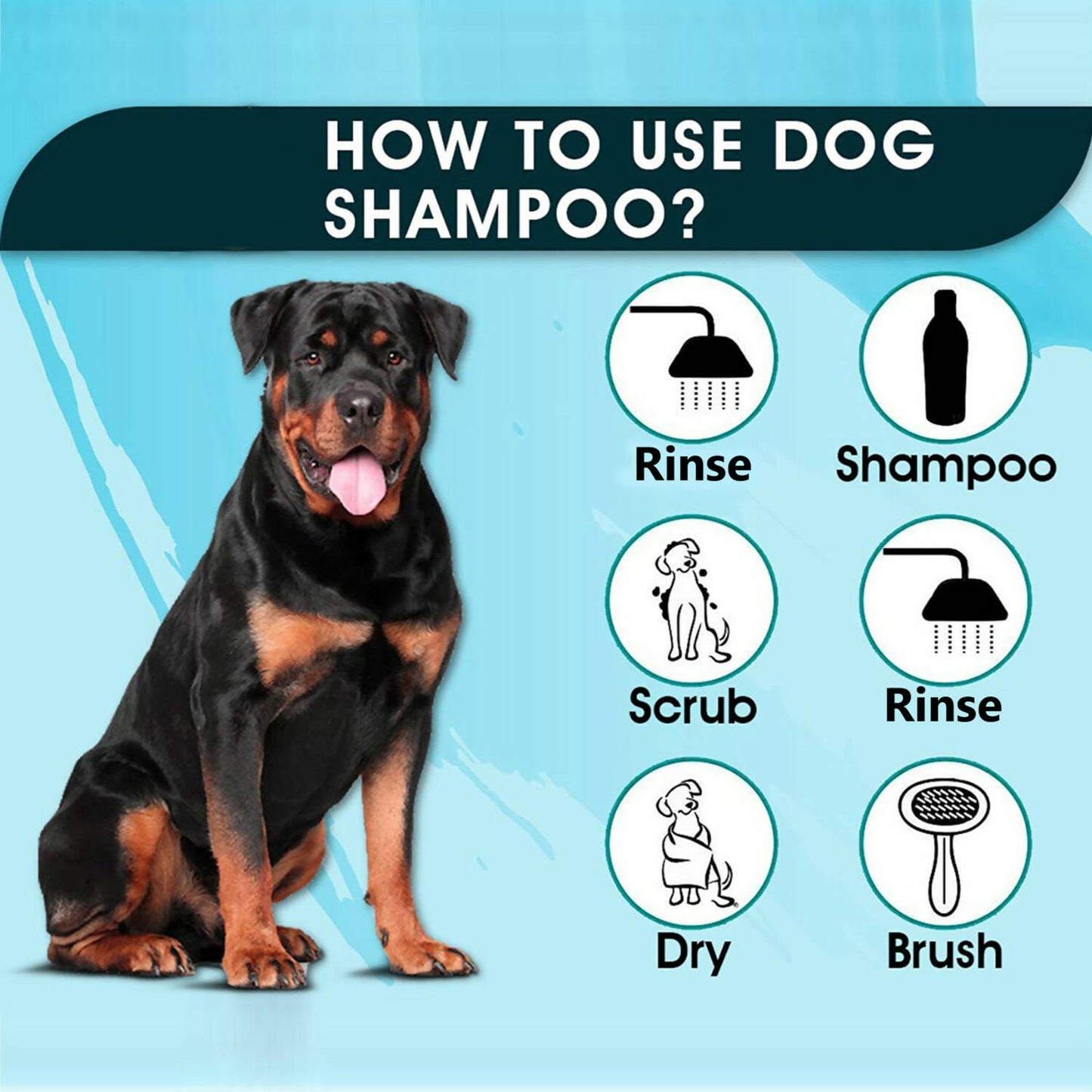 Basil - Anti Dandruff and Anti-Itch Shampoo For Dogs