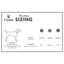 Ruse - Carpe Diem Printed Reversible Bandana for Dogs