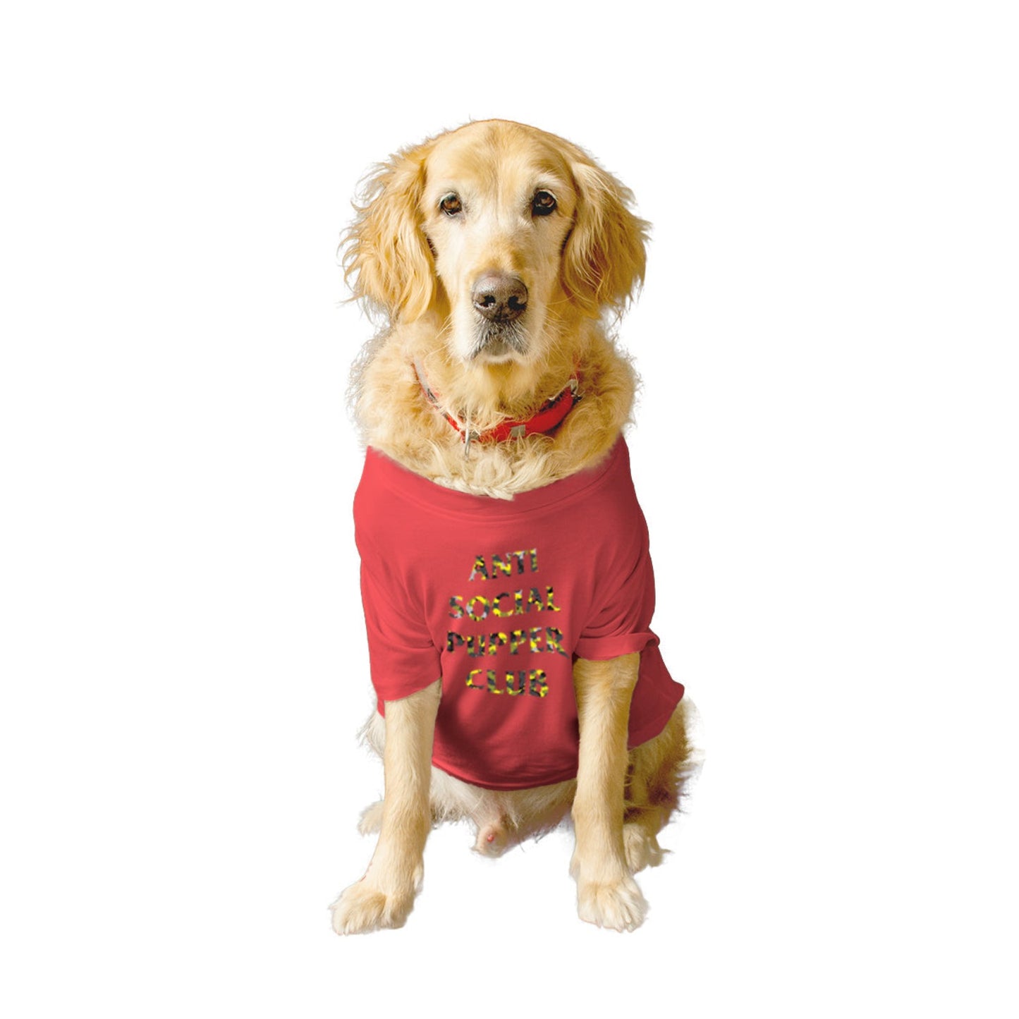 Ruse XX-Small (Chihuahuas, Papillons) / Poppy Red Ruse Basic Crew Neck "Anti Social Pupper Club" Printed Half Sleeves Dog Tee