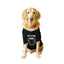 Ruse XX-Small (Chihuahuas, Papillons) / Black Ruse Basic Crew Neck "ART IS THE BOMB" Printed Half Sleeves Dog Tee