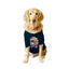 Ruse XX-Small (Chihuahuas, Papillons) / Navy Ruse Basic Crew Neck "Burger Scooter" Printed Half Sleeves Dog Tee