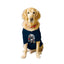 Ruse XX-Small (Chihuahuas, Papillons) / Navy Ruse Basic Crew Neck "Cafe Racer Helmet" Printed Half Sleeves Dog Tee