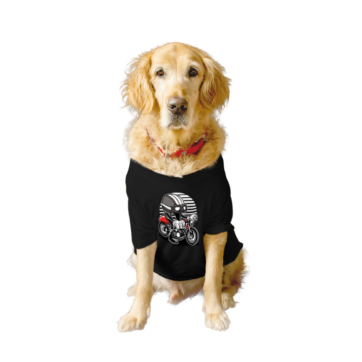 Ruse XX-Small (Chihuahuas, Papillons) / Black Ruse Basic Crew Neck "Cafe Racer Helmet" Printed Half Sleeves Dog Tee