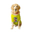 Ruse XX-Small (Chihuahuas, Papillons) / Yellow Ruse Basic Crew Neck "CHOCOLATE SQUAD" Printed Half Sleeves Dog Tee