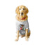 Ruse XX-Small (Chihuahuas, Papillons) / White Ruse Basic Crew Neck "CHOCOLATE SQUAD" Printed Half Sleeves Dog Tee