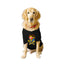 Ruse XX-Small (Chihuahuas, Papillons) / Black Ruse Basic Crew Neck "CYCLOPS" Printed Half Sleeves Dog Tee