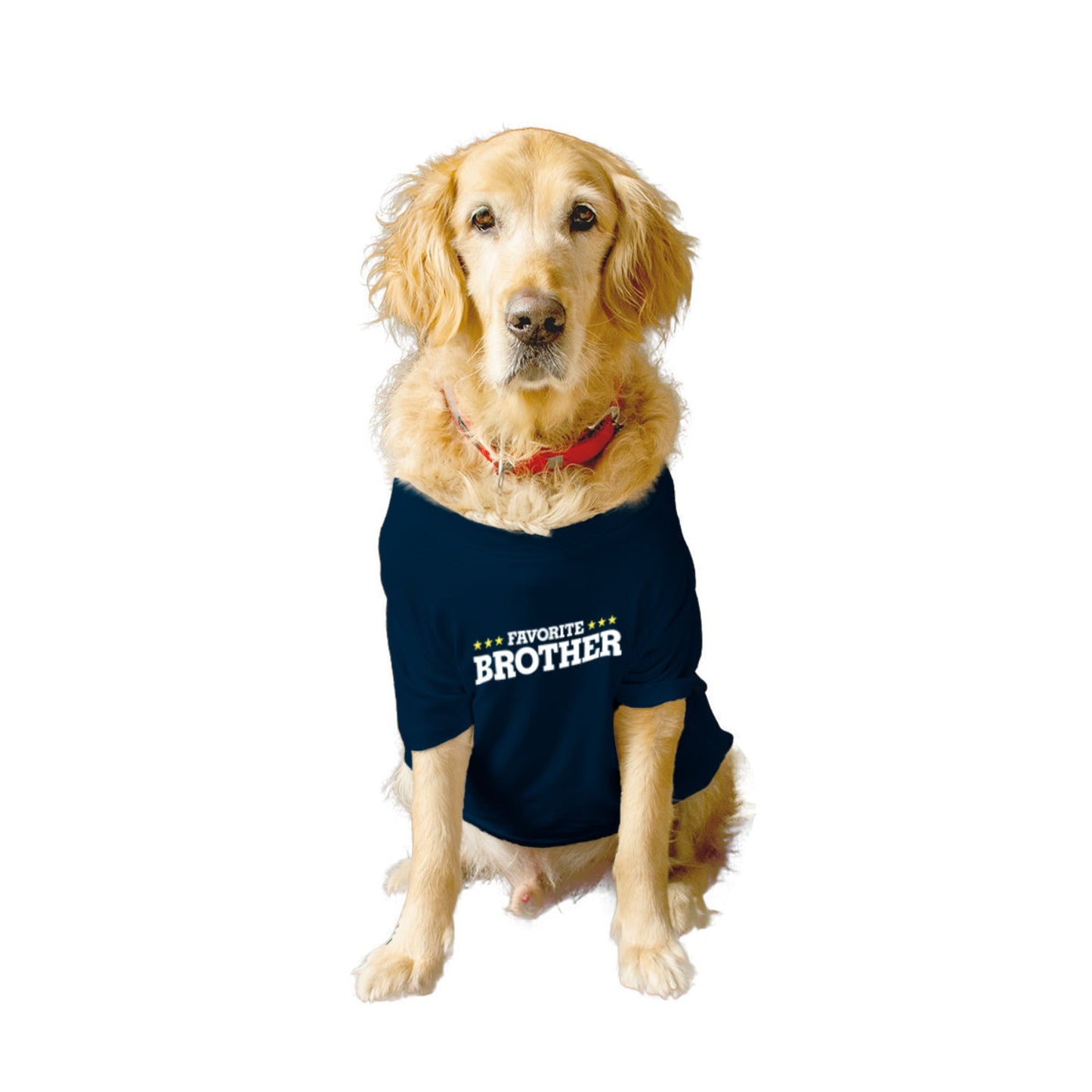 Ruse XX-Small (Chihuahuas, Papillons) / Navy Ruse Basic Crew Neck "Favourite Brother" Printed Half Sleeves Dog Tee4