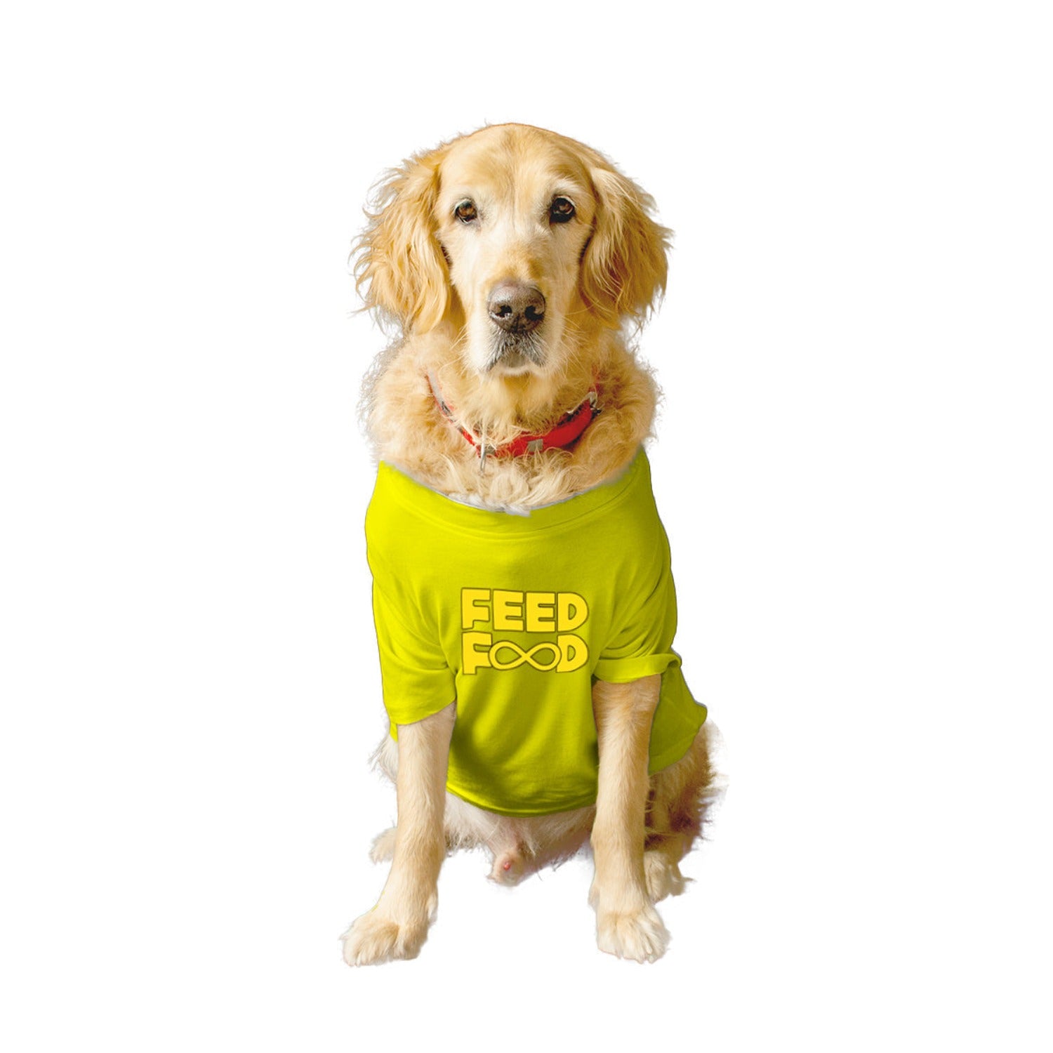 Ruse XX-Small (Chihuahuas, Papillons) / Yellow Ruse Basic Crew Neck "Feed Food" Printed Half Sleeves Dog Tee