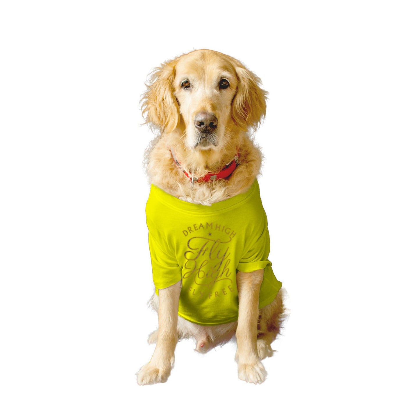 Ruse XX-Small (Chihuahuas, Papillons) / Yellow Ruse Basic Crew Neck "FLY HIGH" Printed Half Sleeves Dog Tee