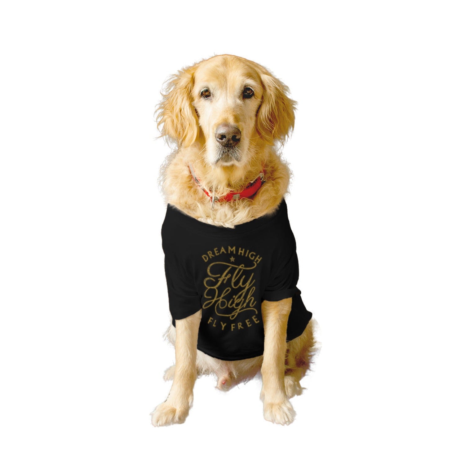 Ruse XX-Small (Chihuahuas, Papillons) / Black Ruse Basic Crew Neck "FLY HIGH" Printed Half Sleeves Dog Tee