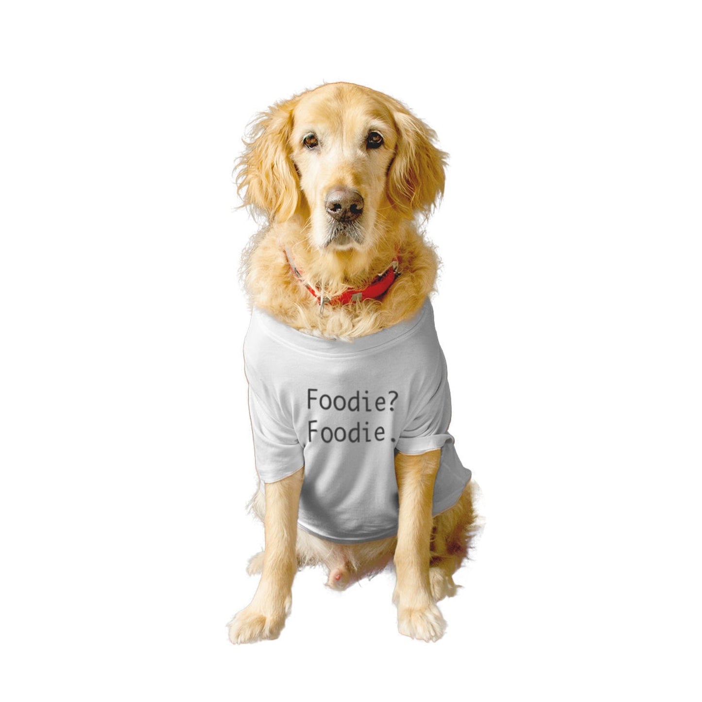 Ruse XX-Small (Chihuahuas, Papillons) / White Ruse Basic Crew Neck "FOODIE? FOODIE." Printed Half Sleeves Dog Tee