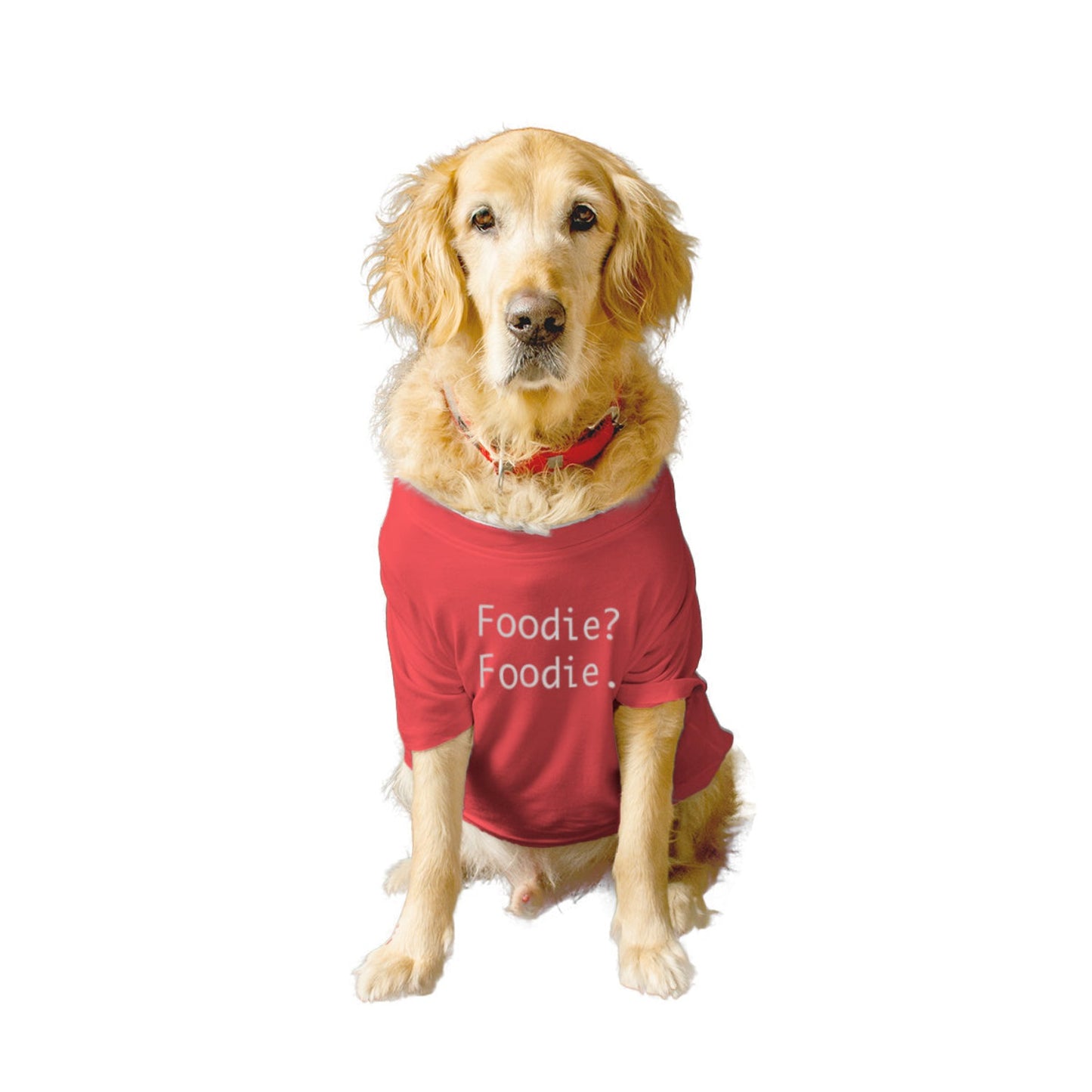 Ruse XX-Small (Chihuahuas, Papillons) / Poppy Red Ruse Basic Crew Neck "FOODIE? FOODIE." Printed Half Sleeves Dog Tee
