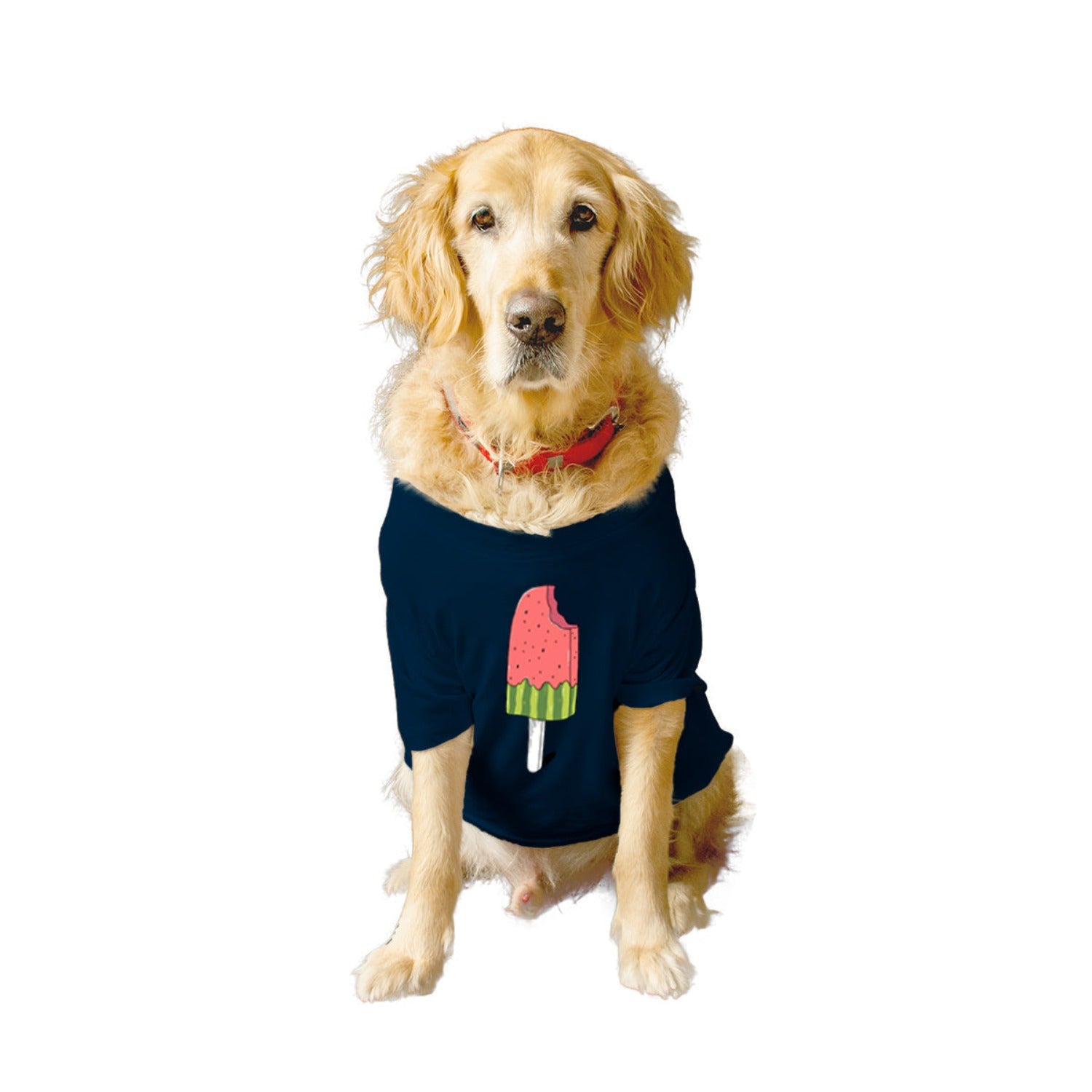 Ruse XX-Small (Chihuahuas, Papillons) / Navy Ruse Basic Crew Neck "Icicle" Printed Half Sleeves Dog Tee