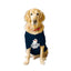 Ruse XX-Small (Chihuahuas, Papillons) / Navy Ruse Basic Crew Neck "It's My Birthday Bitches-2" Printed Half Sleeves Dog Tee3