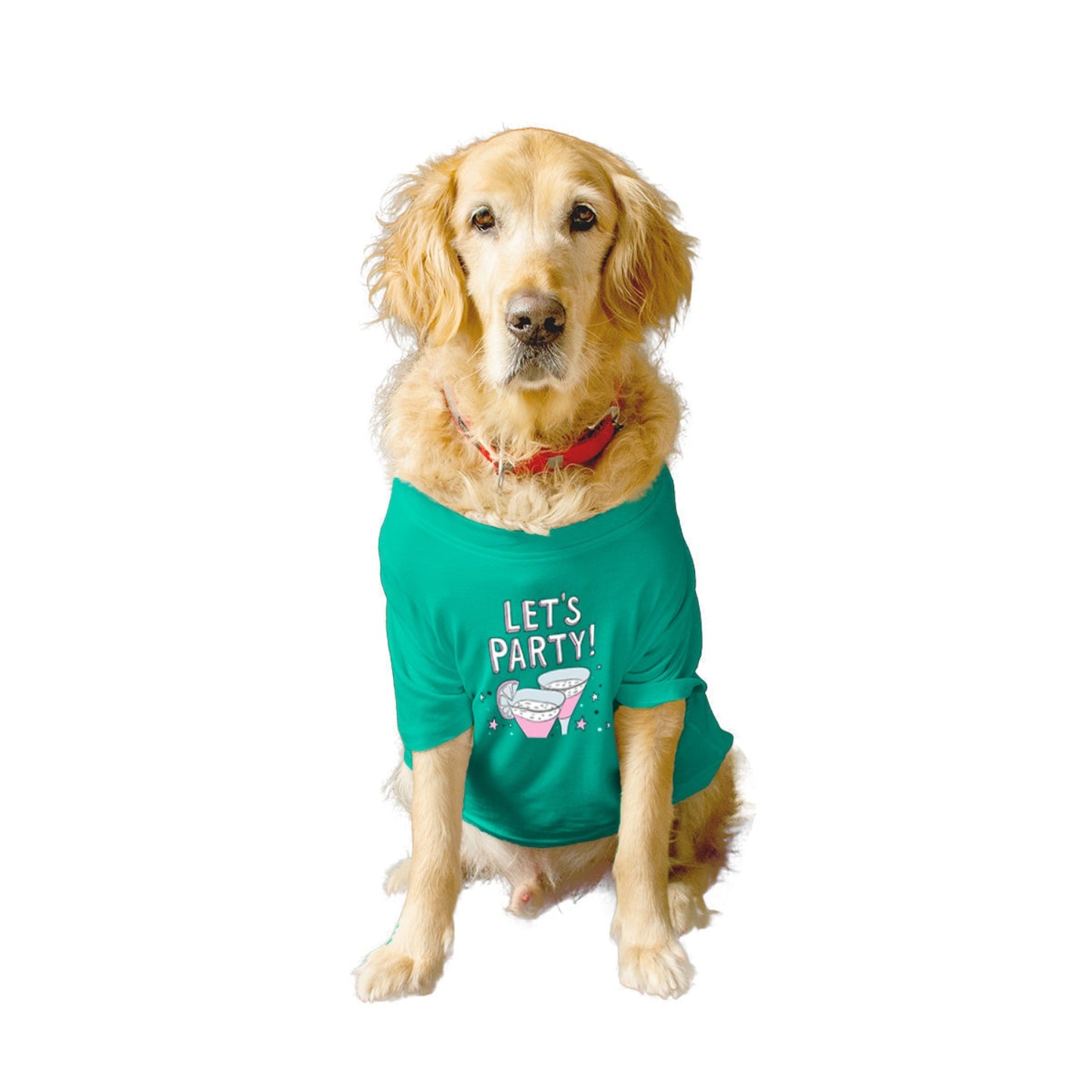 Ruse XX-Small (Chihuahuas, Papillons) / Aqua Green Ruse Basic Crew Neck "Let's Party" Printed Half Sleeves Dog Tee5