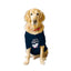 Ruse XX-Small (Chihuahuas, Papillons) / Navy Ruse Basic Crew Neck "Let's Party" Printed Half Sleeves Dog Tee6