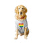 Ruse XX-Small (Chihuahuas, Papillons) / White Ruse Basic Crew Neck "LGBTQ-1" Printed Half Sleeves Dog Tee