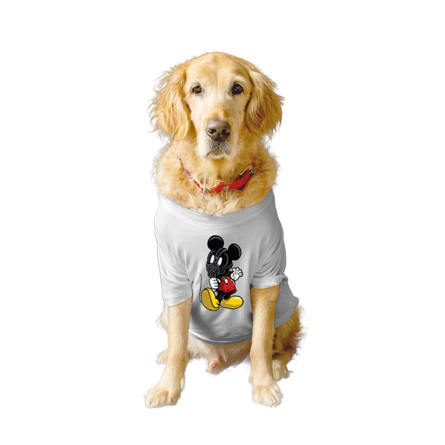 Ruse XX-Small (Chihuahuas, Papillons) / White Ruse Basic Crew Neck "Mouse Bane" Printed Half Sleeves Dog Tee6