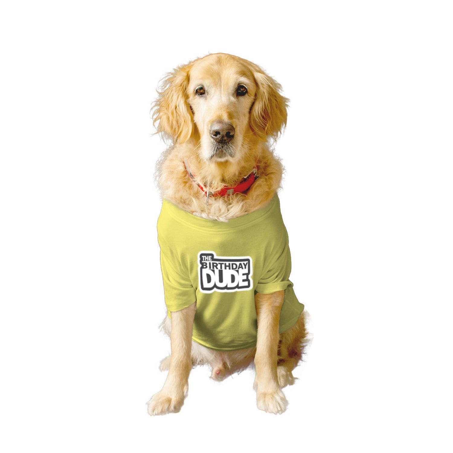 Ruse XX-Small (Chihuahuas, Papillons) / Lemon Tonic Ruse Basic Crew Neck "The Birthday Dude" Printed Half Sleeves Dog Tee2